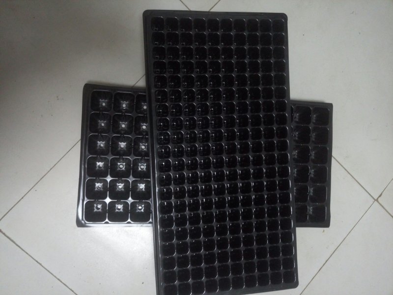大量现货供应批发育苗盘穴盆育秧育苗扦插育苗种规格齐全