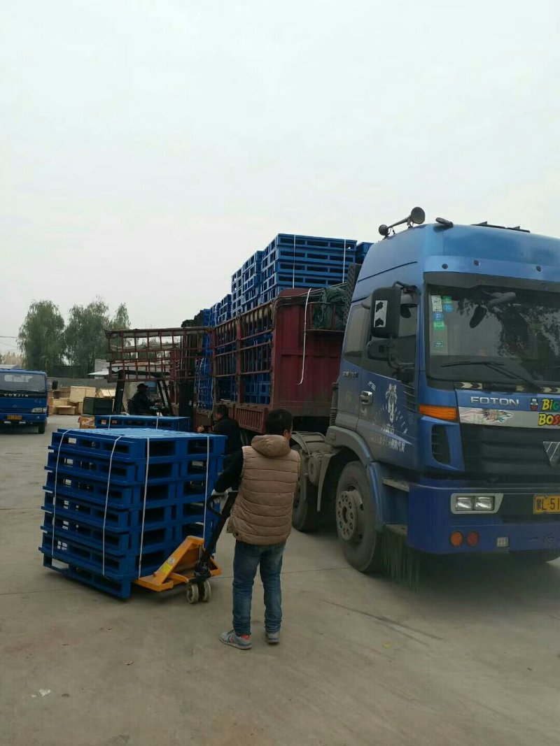 钢构托盘朔料托盘木托盘货架冷库