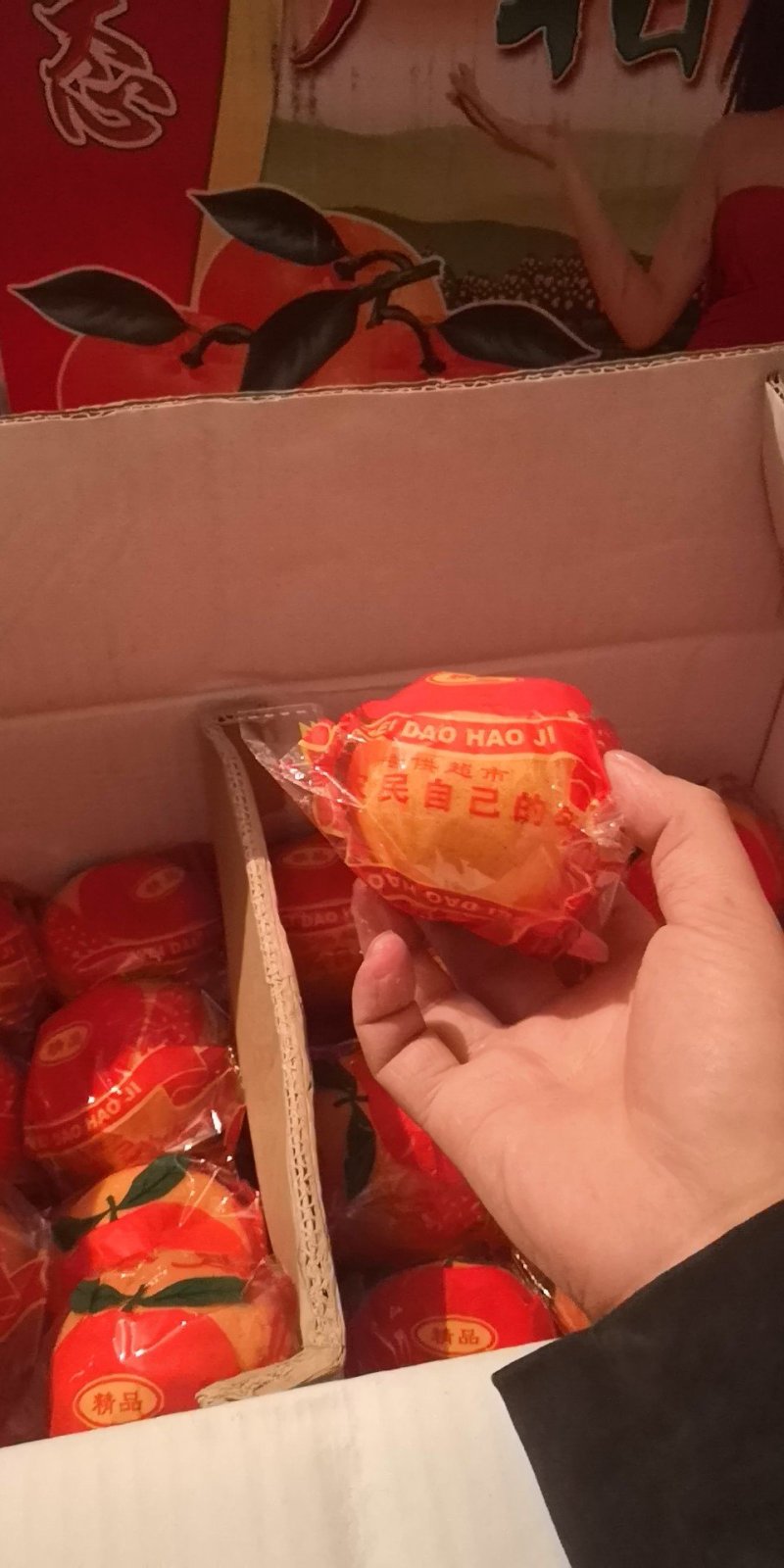 柑橘芦柑，
