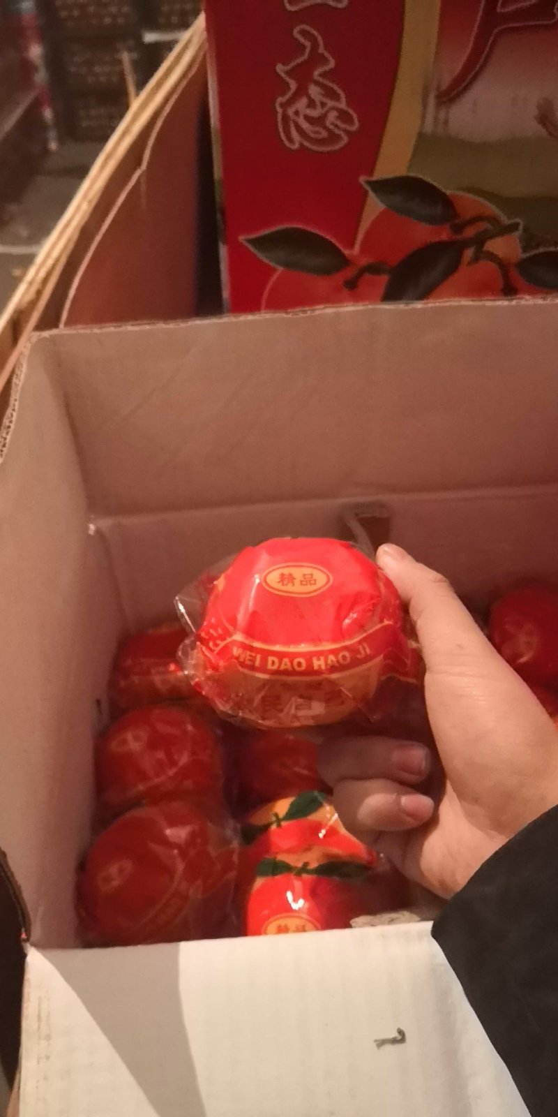 柑橘芦柑，