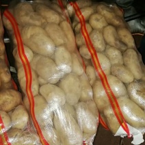 精品黄心土豆