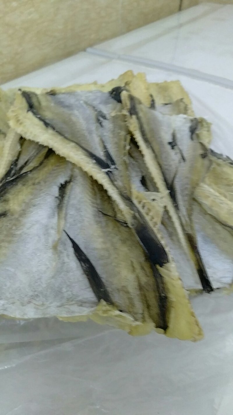 淡晒柴鱼干