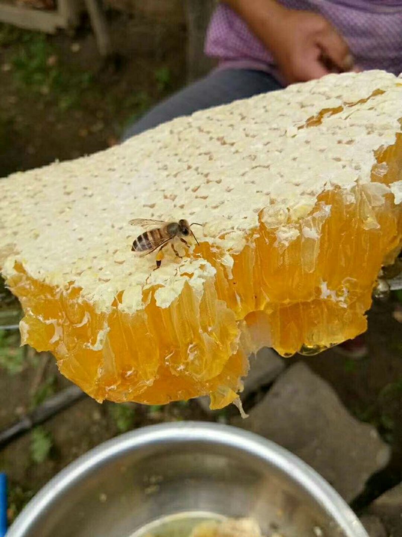 蜂蜜