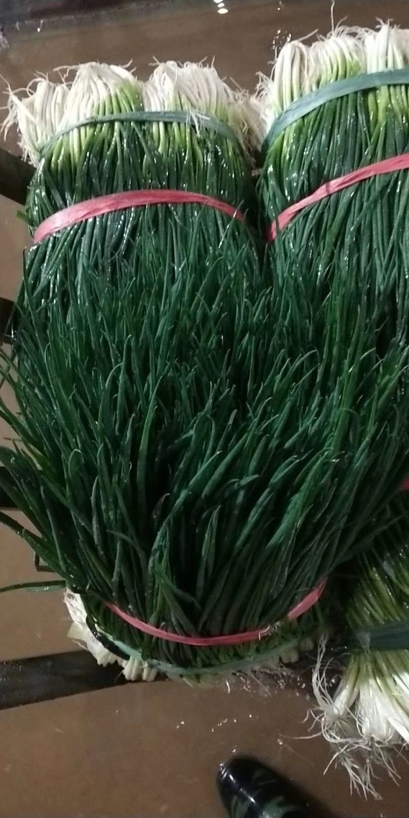 小葱