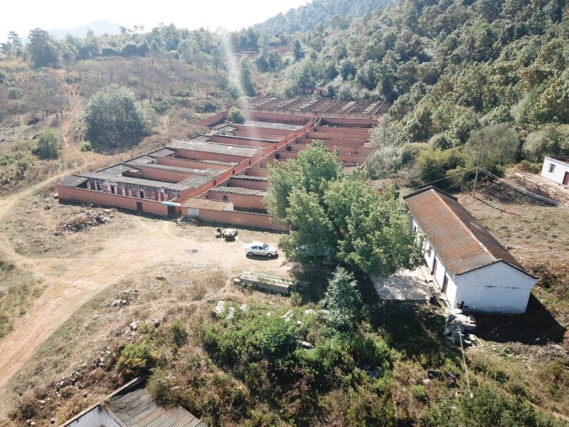 有好货：禄丰1454亩林地低价转让，水电路通，有房子