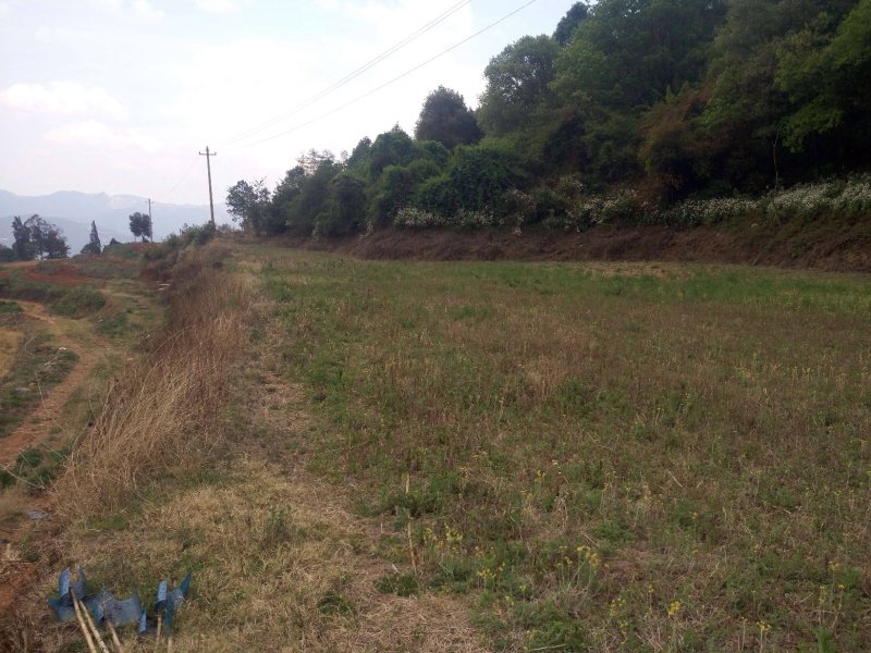 有好货：易门300亩畜牧养殖、种植用地转租，水电路房齐全