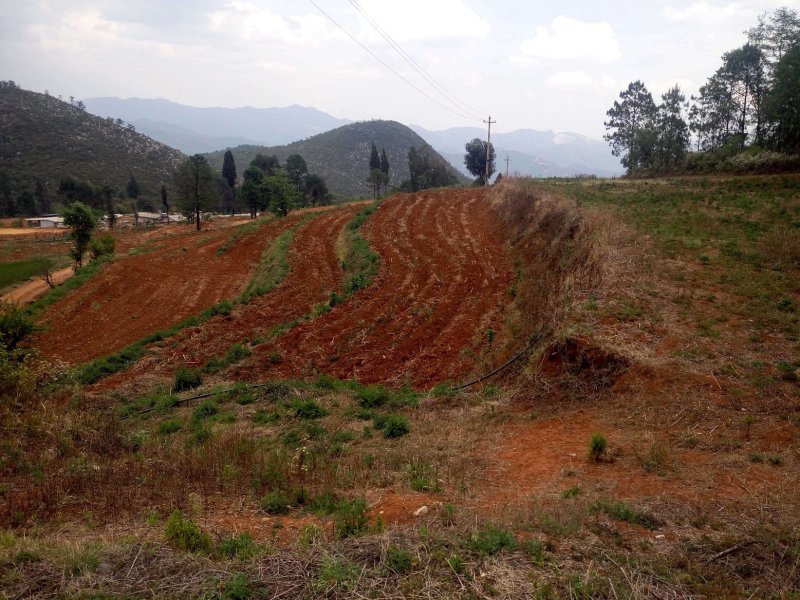 有好货：易门300亩畜牧养殖、种植用地转租，水电路房齐全