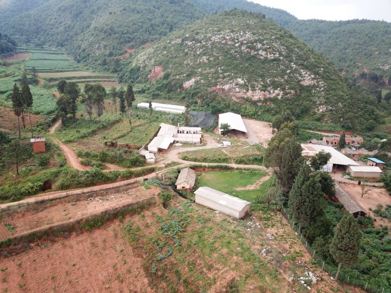 有好货：易门300亩畜牧养殖、种植用地转租，水电路房齐全