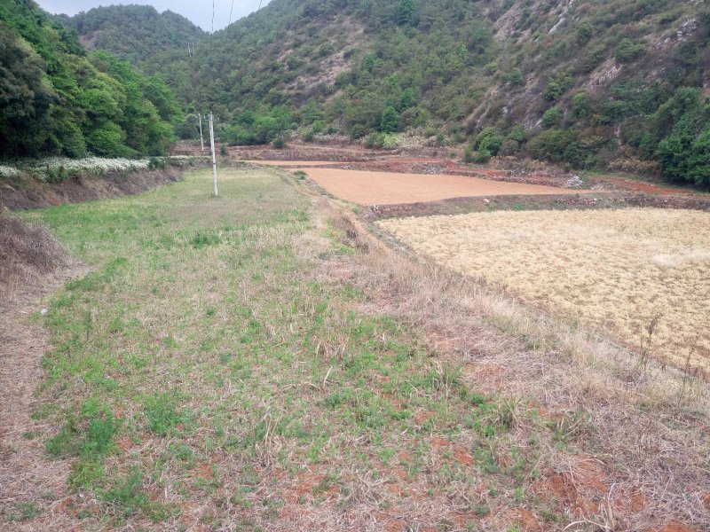 有好货：易门300亩畜牧养殖、种植用地转租，水电路房齐全