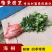 海桐球海桐小苗七里香树苗庭院花卉风景树园林绿化树工程苗木