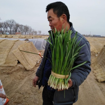 汉中二刀大量上市要的老板联系