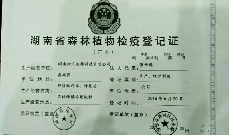 卡拉卡拉红肉脐橙/纯度品质保证，签订合同免费技术指导