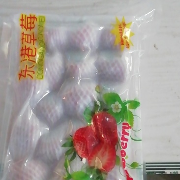 丹东九九草莓🍓含糖高，个头大