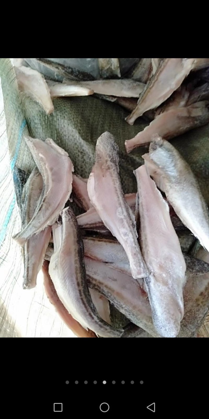 小黄鱼500克净鱼3一5公分4一6公分