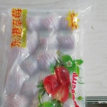 丹东九九草莓人全国包邮，一件代发，急代理