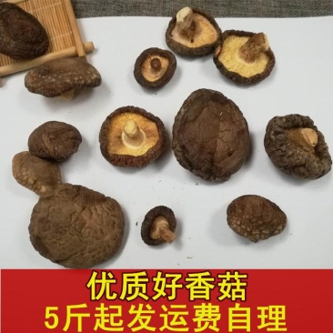 干香菇剪脚香菇5斤起发