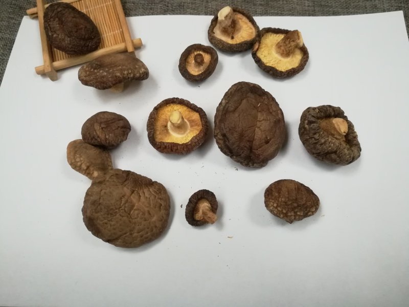 干香菇剪脚香菇5斤起发
