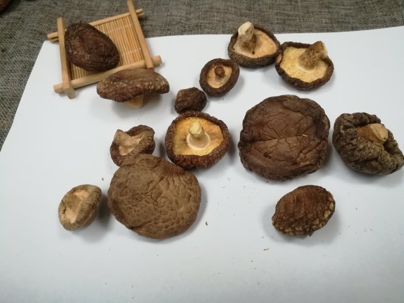 干香菇剪脚香菇5斤起发