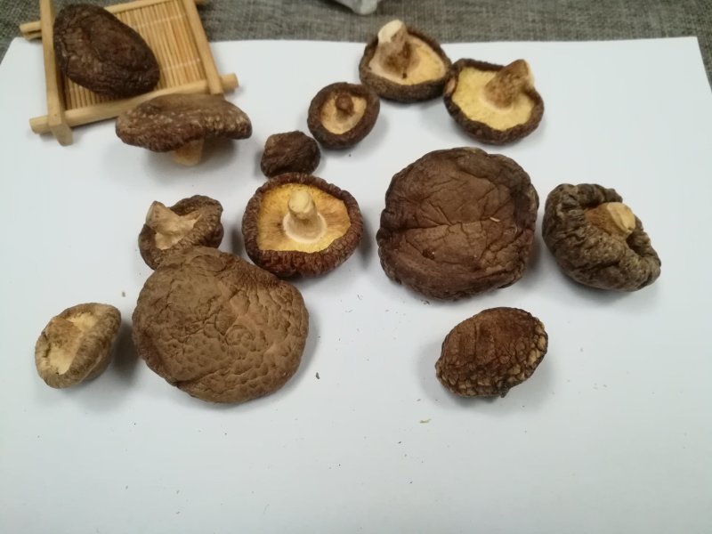 干香菇剪脚香菇5斤起发