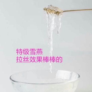 缅甸特级雪燕，500克一袋，包邮，量大从优