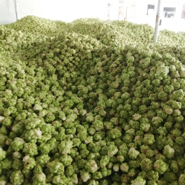 榨菜3两以上