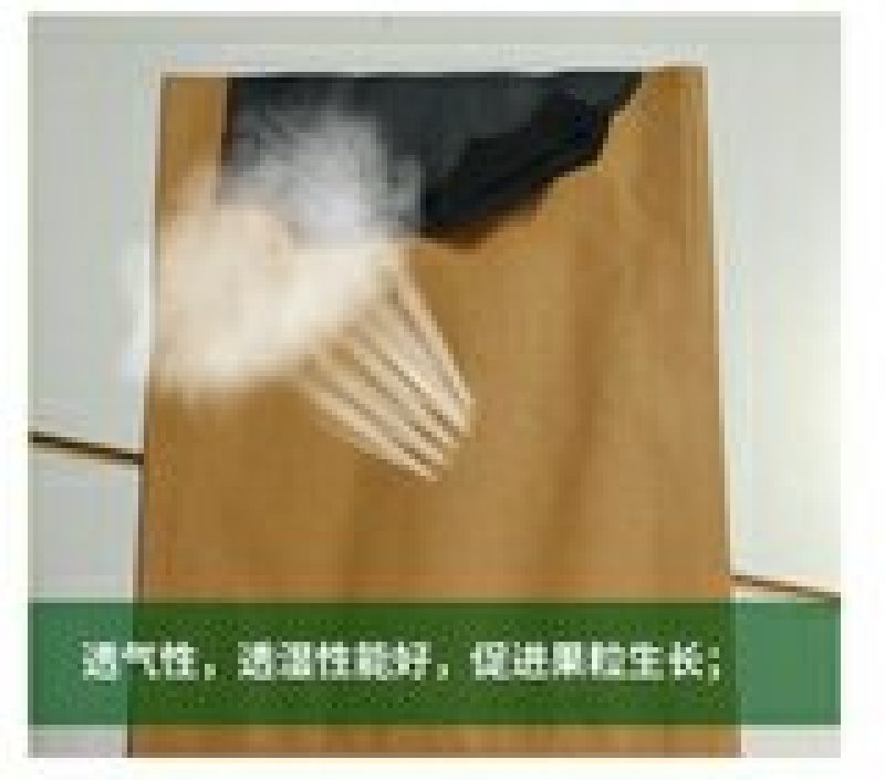 源头厂果袋梨子套袋，桃子套袋，葡萄套袋樱桃套袋等水果套袋