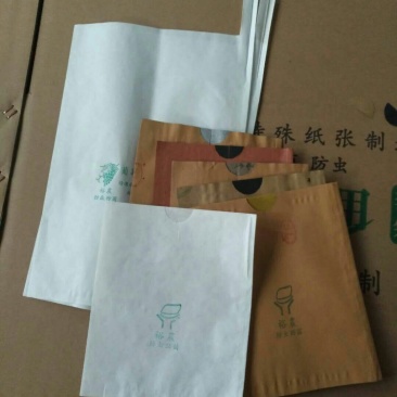 源头厂果袋梨子套袋，桃子套袋，葡萄套袋樱桃套袋等水果套袋