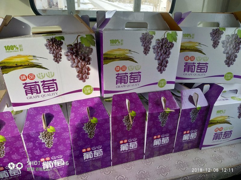 克伦生葡萄