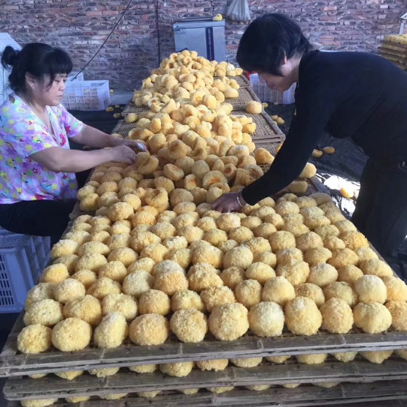 银耳丑耳干丑耳金耳野生银耳鲜银耳