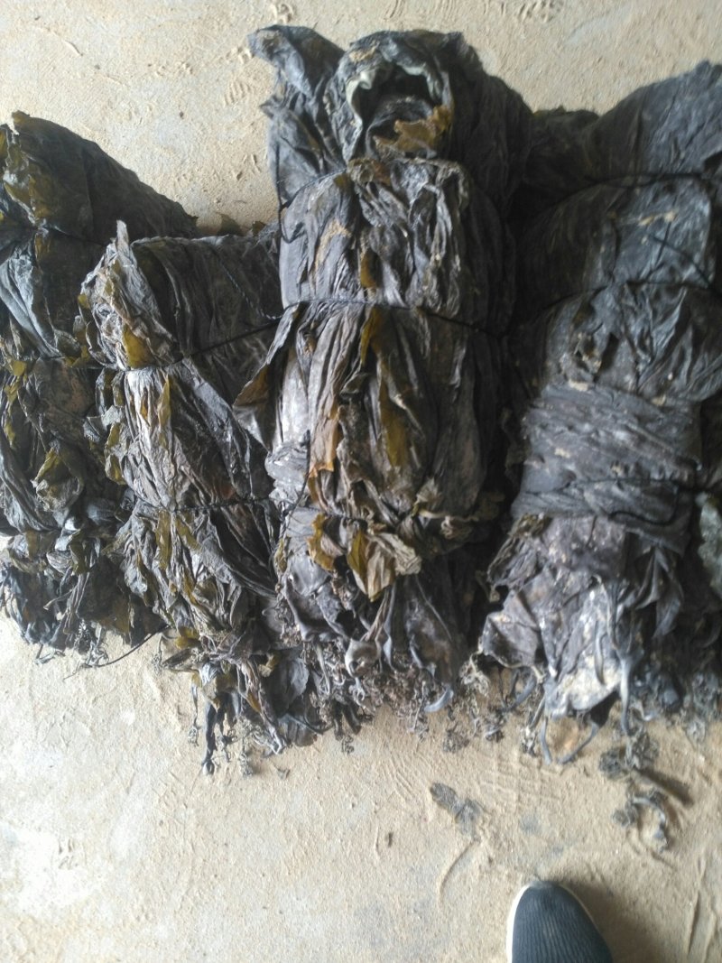 干海带，散菜价格，打捆标准可以根据客户需要（挂菜）