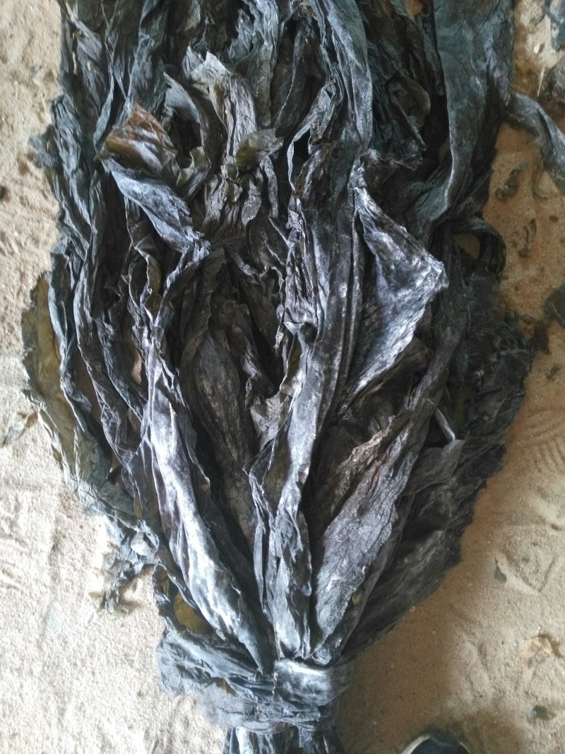 干海带，散菜价格，打捆标准可以根据客户需要（挂菜）