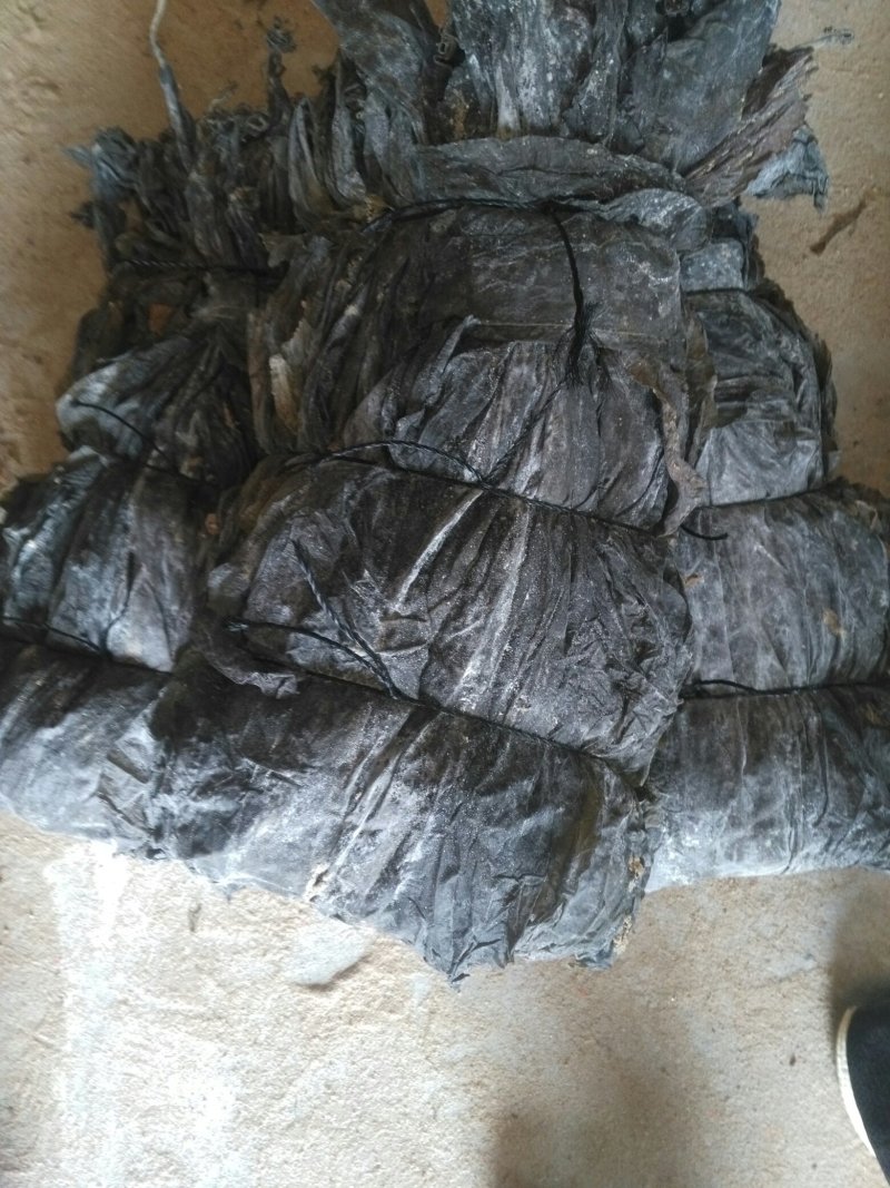 干海带，散菜价格，打捆标准可以根据客户需要（挂菜）