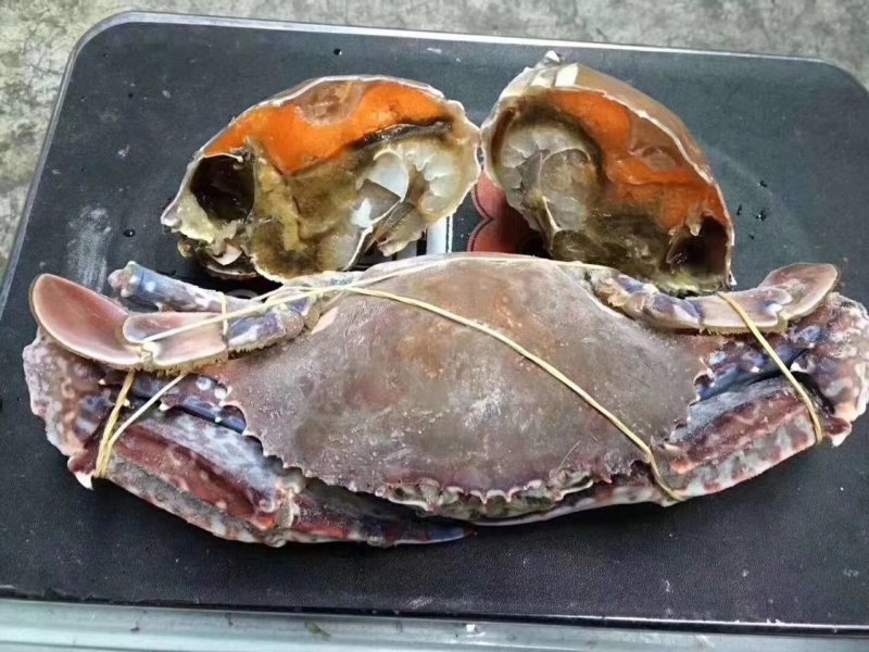 远海船冻蟹