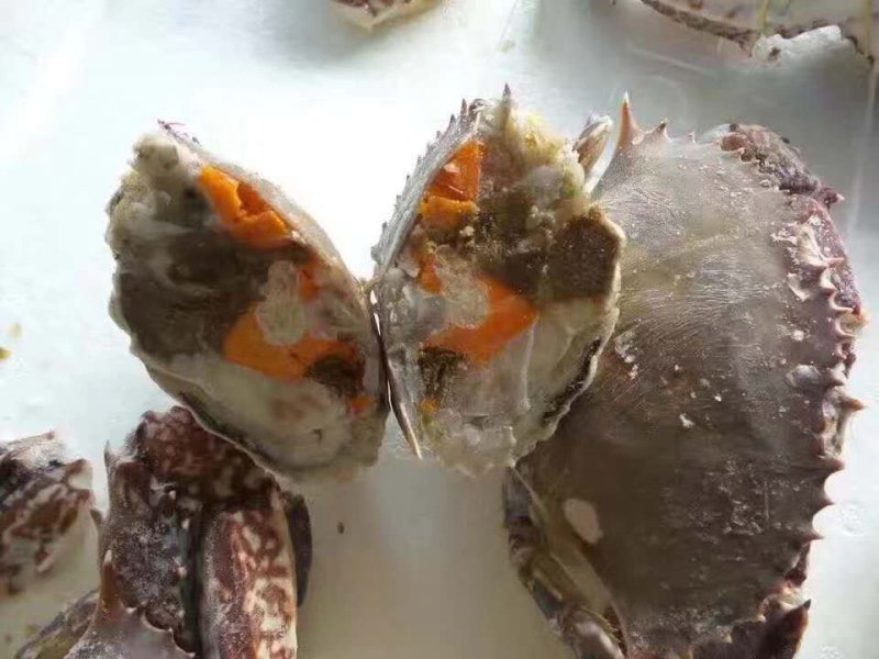 远海船冻蟹