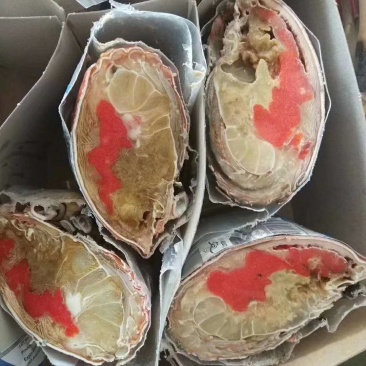 蟹