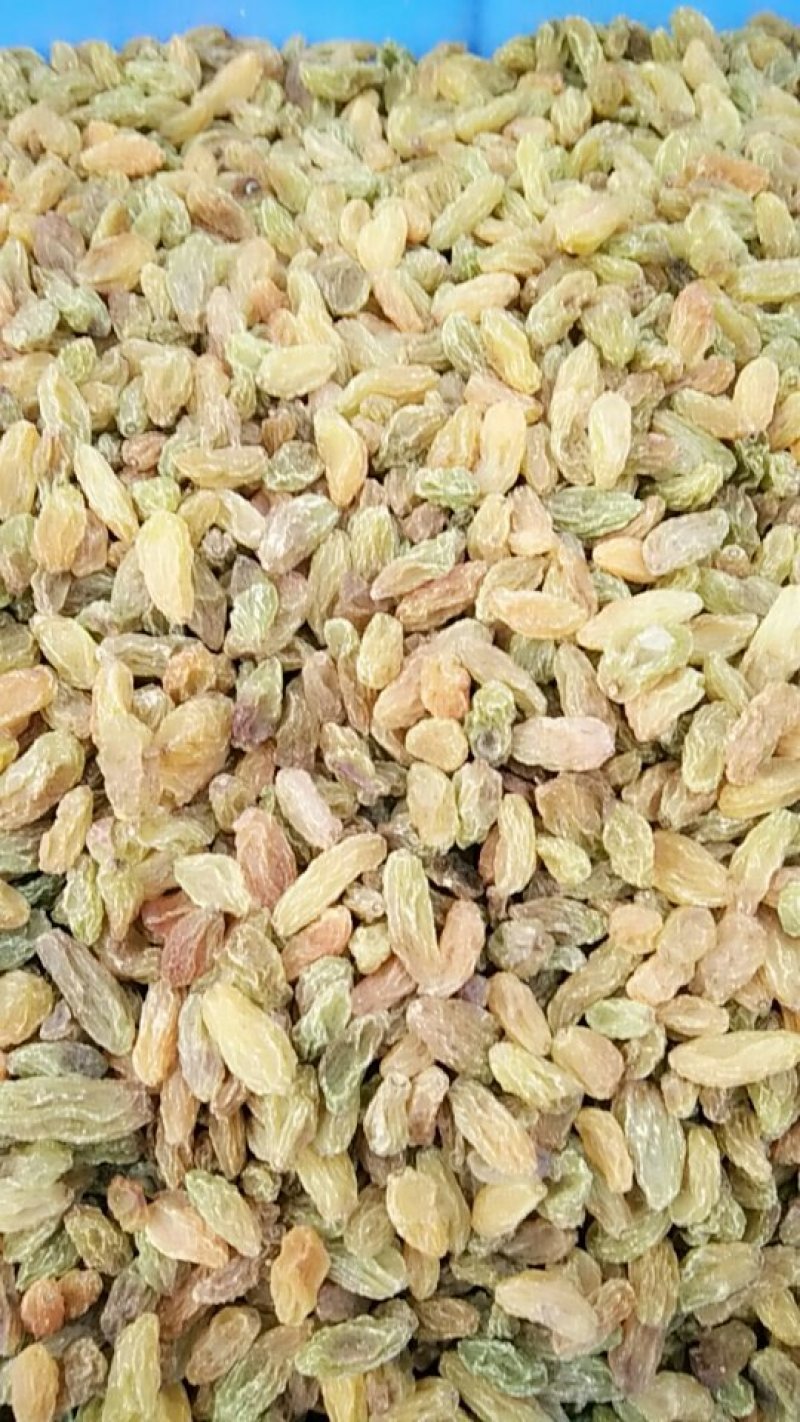 绿葡萄干红葡萄干马奶葡萄干