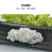 青虾虾滑肉打火锅虾滑包虾饺子虾滑500g