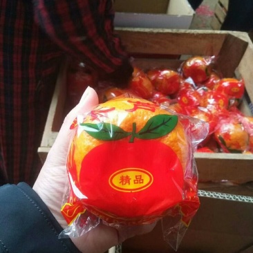 精品芦柑包装