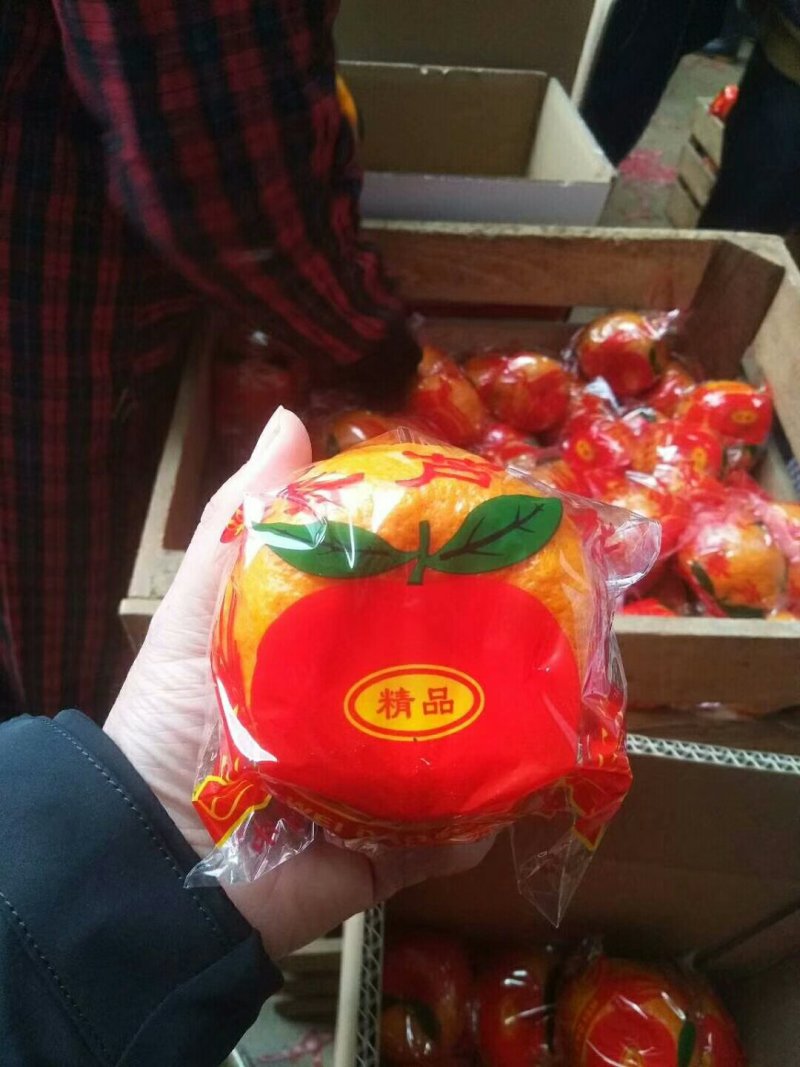 精品芦柑包装