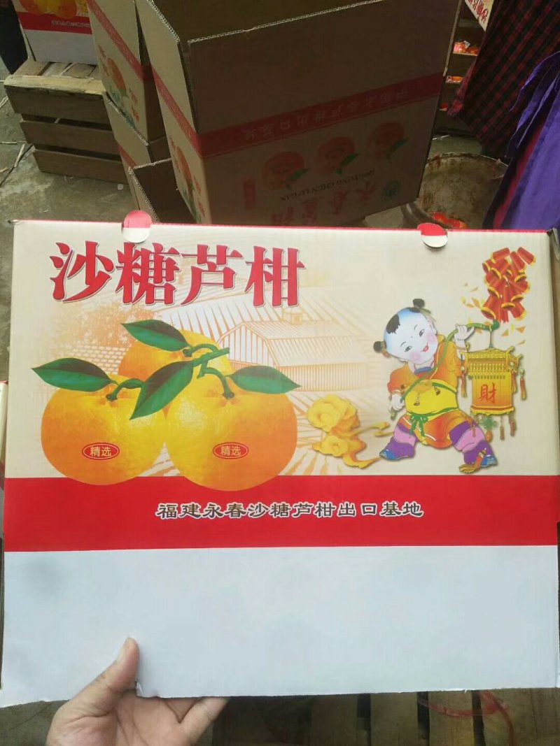 精品芦柑包装