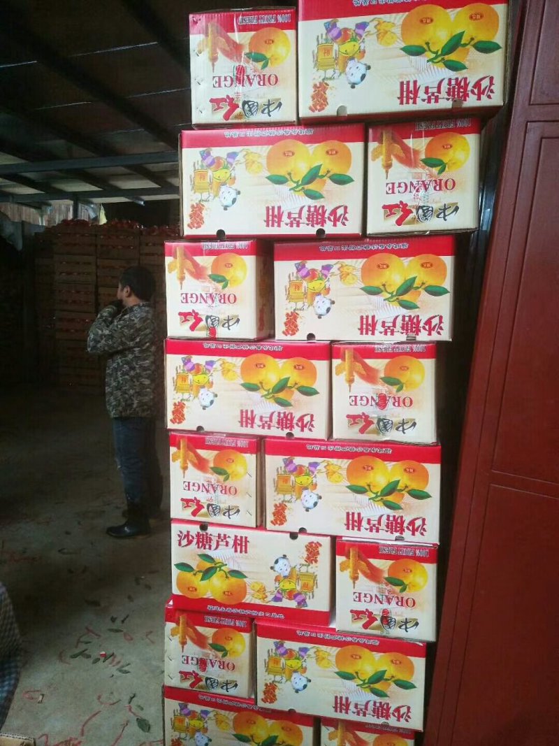 精品芦柑包装