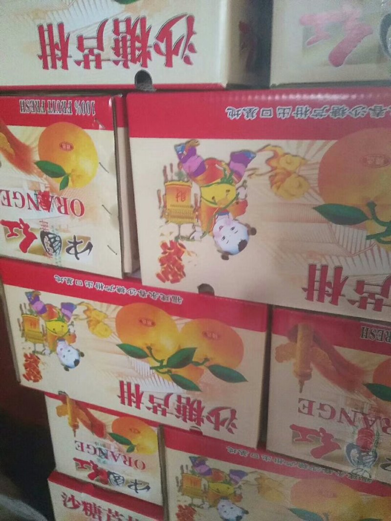 精品芦柑包装