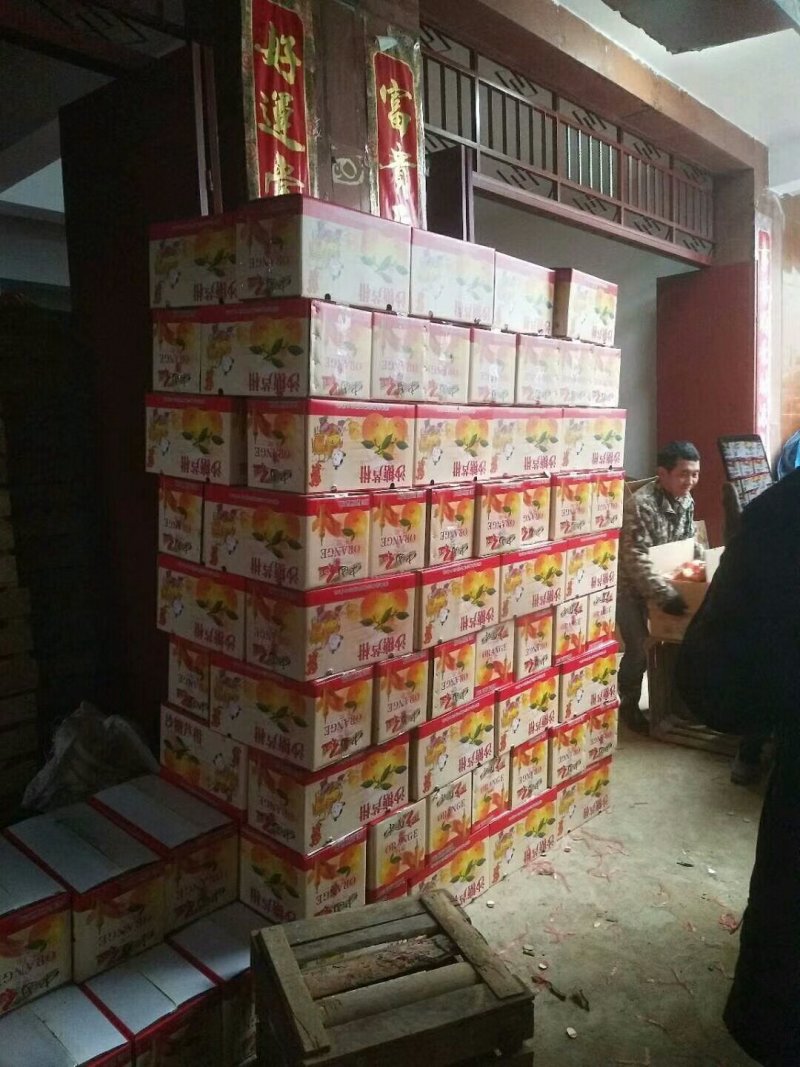 精品芦柑包装