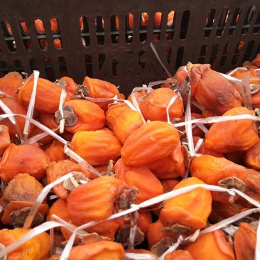 泰山柿饼