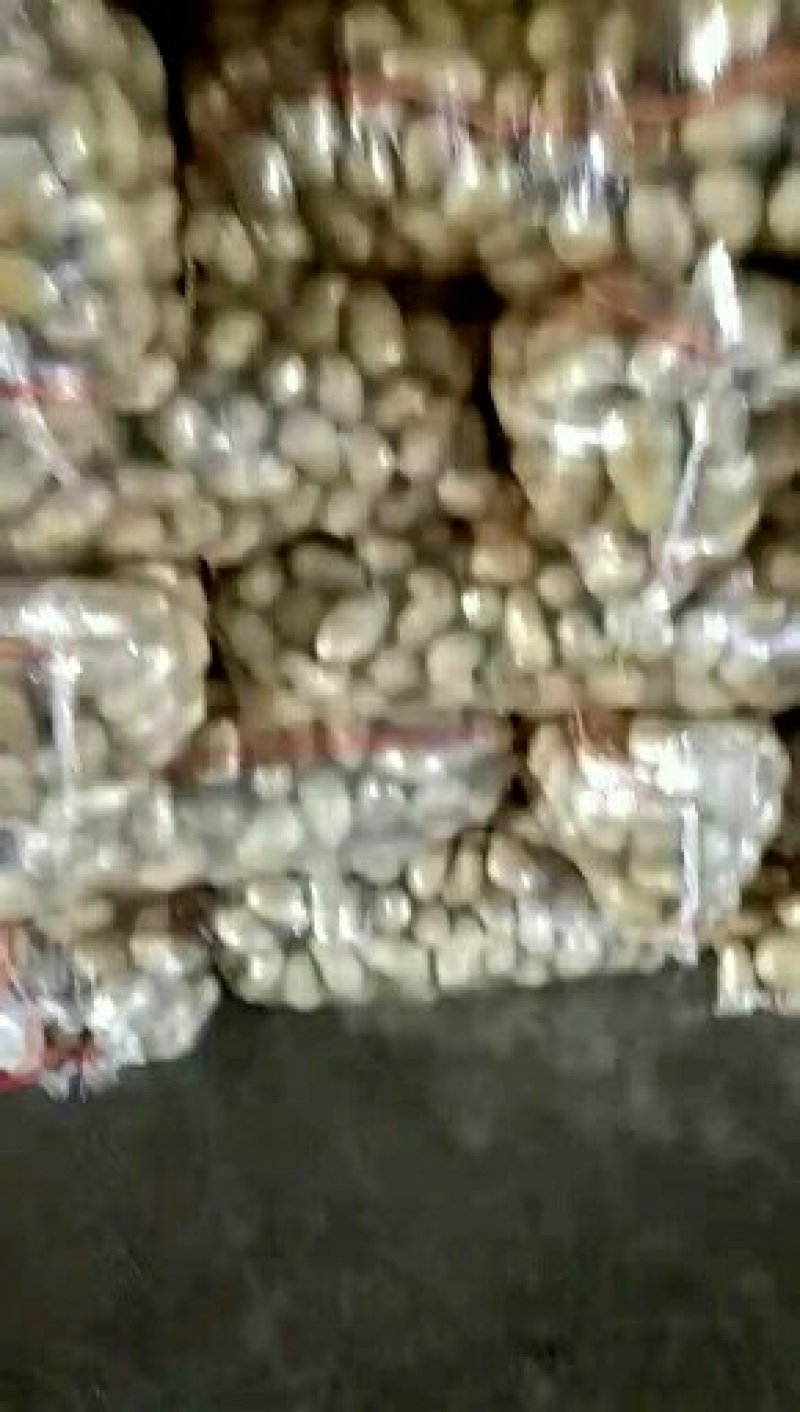 精品小土豆产地直发荷兰十五土豆2~4两1-3两