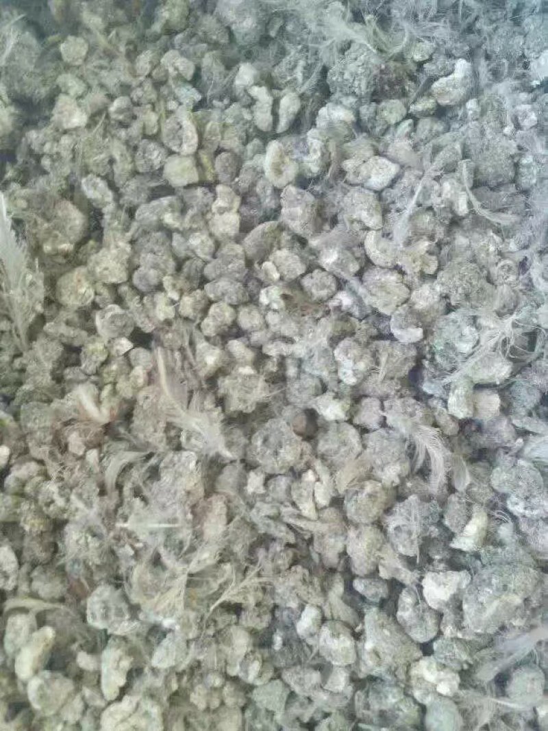 鹌鹑粪，颗粒度好，水泥地晒干鹌鹑粪，无杂质货源好价格好