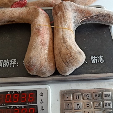 鹿角片