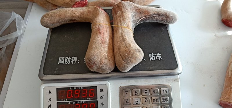 鹿角片