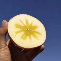 山东潍坊富士苹果：80起步，食宿免费，大量供应