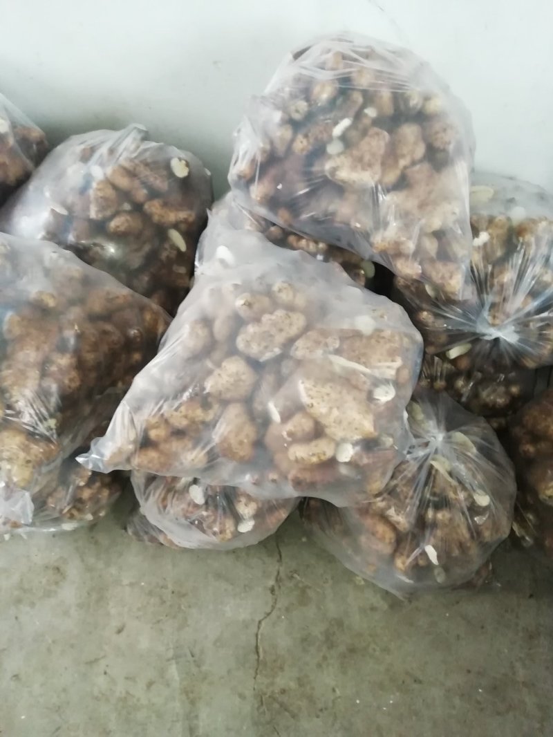 灵芝山药
